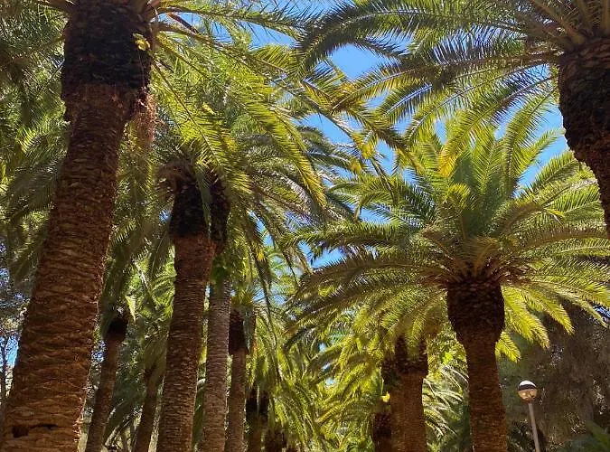 Coves Noves Of 75 M2 10 Minutes Walk From The Of Arenal D'en Castell Appartement Es Mercadal