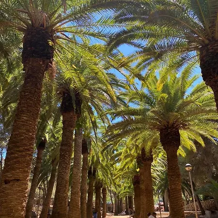 Coves Noves Of 75 M2 10 Minutes Walk From The Of Arenal D'en Castell Appartement Es Mercadal